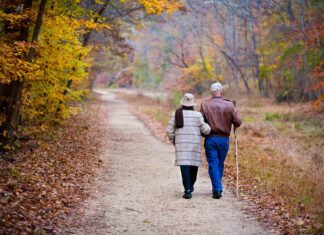 Surprising study reveals how just 10% more greenery can boost seniors’ mental well-being Surprising study reveals how just 10% more greenery can boost seniors' mental well-being
