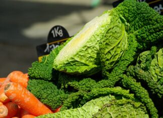 Rio de Janeiro tests new recipe against childhood obesity Rio de Janeiro tests new recipe against childhood obesity