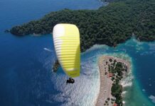 Find Out What Makes a Style Disrupter