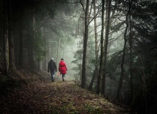 Prince Harry Sets His Next Overseas Trip