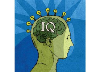 Balanced diet boosts brain health and cognitive function Balanced diet boosts brain health and cognitive function