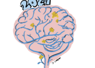 Class of 2024 dedicates senior gift to mental health funding Class of 2024 dedicates senior gift to mental health funding