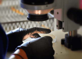 Reproductive aging leads to many women’s health problems Webinars