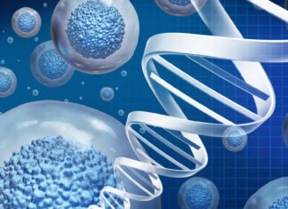 Will Regenerative Medicine Stop Us From Aging? Will Regenerative Medicine Stop Us From Aging?