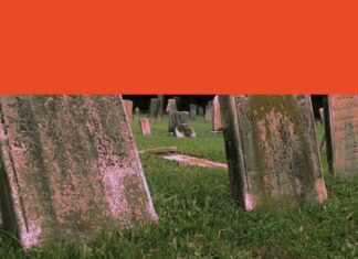 We have extended our lives. Now, we need to shorten our deaths. We have extended our lives. Now, we need to shorten our deaths.