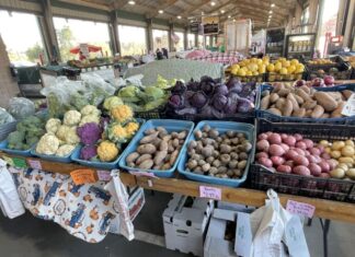 NC allocated over $5 million for fresh produce to schools NC allocated over $5 million for fresh produce to schools