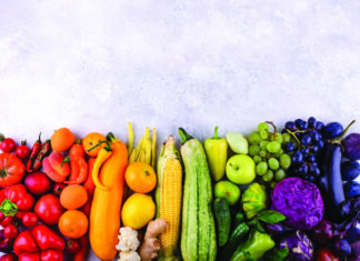 Fueling Success: Back-to-School Nutrition Advice for Parents from a Registered Dietitian Fueling Success: Back-to-School Nutrition Advice for Parents from a Registered Dietitian