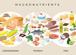 World Food Day 2024: Key Nutrients That Should Never Be Deficient In Your Body World Food Day 2024: Key Nutrients That Should Never Be Deficient In Your Body