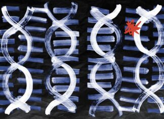 Scientists find combo of 14 genes that improve results Scientists find combo of 14 genes that improve results