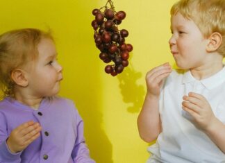 5 tips for building healthy eating habits in kids 5 tips for building healthy eating habits in kids