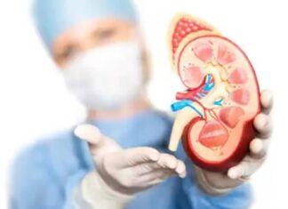 5 Foods You Must Eat For Healthy Kidneys 5 Foods You Must Eat For Healthy Kidneys