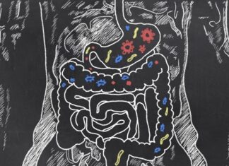 Simple throat swab may offer clues about health risks in older adults Exploring the role of gut microbes in the aging process