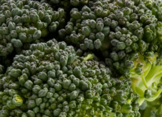 How Healthy Is Broccoli? How Healthy Is Broccoli?