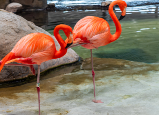 How long can you stand on one leg? What it says about your health. How long can you stand on one leg? What it says about your health.