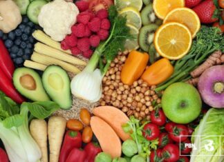 National Dietary Guides Should Be Based On Healthy Vegan Diet National Dietary Guides Should Be Based On Healthy Vegan Diet