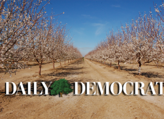 Over $900,000 distributed in healthy food access to Yolo County residents – Daily Democrat Unveiling of 'Fiat Lux' in honor of Karim Abou Najm will take place at Sycamore Park