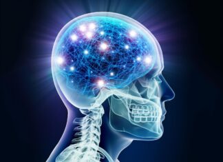 Promising New Treatment Extends Lifespan by Blocking Brain Waste Buildup Promising New Treatment Extends Lifespan by Blocking Brain Waste Buildup