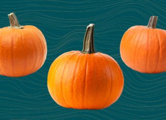 What Happens to Your Body When You Eat Pumpkin Regularly What Happens to Your Body When You Eat Pumpkin Regularly