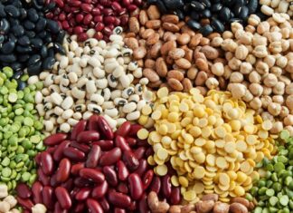 What are legumes? Understand this healthy, trendy food What are legumes? Understand this healthy, trendy food
