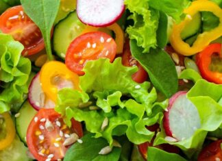 The Rise of Plant-Based Salads: A Fresh Take on Sustainable Eating The Rise of Plant-Based Salads: A Fresh Take on Sustainable Eating