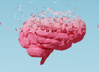 Scientists Say This One Particular Diet May Slow The Decline of The Brain : ScienceAlert Scientists Say This One Particular Diet May Slow The Decline of The Brain : ScienceAlert