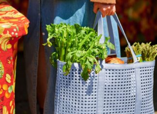 What makes a diet actually healthy? What makes a diet actually healthy?