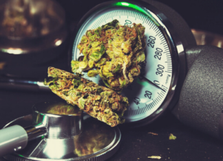 Lifetime Cannabis Use Not Associated With Elevated Risk of Hypertension Lifetime Cannabis Use Not Associated With Elevated Risk of Hypertension