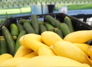 Coachella Valley Celebrates National Healthy Eating Day with Locally Grown Foods Coachella Valley Celebrates National Healthy Eating Day with Locally Grown Foods