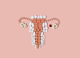 Longevity Drug Research Could Speed up by Testing Ovaries Instead of Mice Longevity Drug Research Could Speed up by Testing Ovaries Instead of Mice