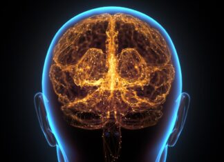 These 5 Hidden Health Risks Are Aging Your Brain Faster Scientists Uncover Potential Key to Keeping Your Brain Healthy: Midlife Recycling