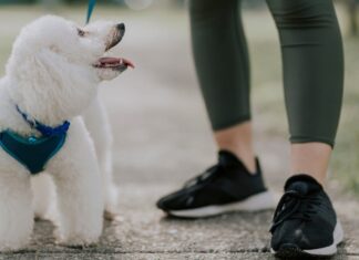 Woman Lost 80 Pounds Through Healthy Eating; Walking Dog for Longer Woman Lost 80 Pounds Through Healthy Eating; Walking Dog for Longer