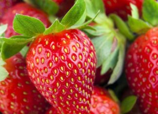 You’ve been eating strawberries wrong all this time as doctor shares correct method You've been eating strawberries wrong all this time as doctor shares correct method