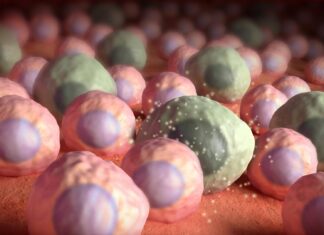 Zombie Cell Killers: New Hope for Aging Bones Zombie Cell Killers: New Hope for Aging Bones