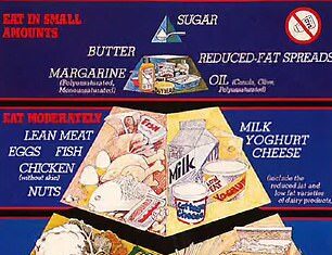 It has been the model of healthy eating since the 1980s – but is the food pyramid actually making you SICK (and fat)? Our leading experts weigh in… The food pyramid has historically advised Australians of the types of foods they should be eating more and less of. But it this model flawed?