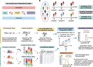 Moderate physical activity can help protect nerve cells and foster healthy aging Moderate physical activity can help protect nerve cells and foster healthy aging