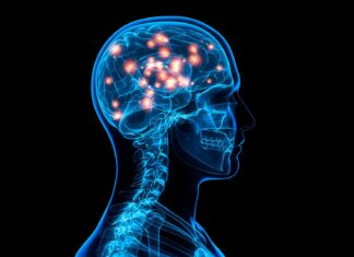 Neighborhood disadvantage linked to brain and heart health among older adults Brain illustration