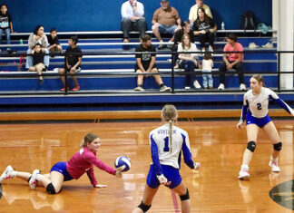 Senior Night a WHS Bulldog Gym Senior Night a WHS Bulldog Gym