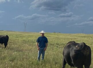 UNL researchers delving into which foods help slow aging of brain UNL researchers delving into which foods help slow aging of brain