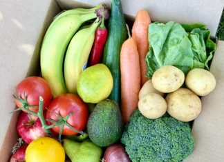 Your Guide to Seasonal Fruits Vegetables for Healthy Eating Your Guide to Seasonal Fruits Vegetables for Healthy Eating