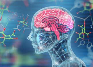 Aging ‘hotspot’ found in brain, researchers say: ‘Major changes’ Aging ‘hotspot’ found in brain, researchers say: ‘Major changes’