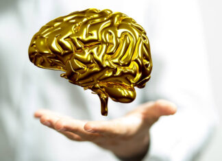 Understanding Brain Aging: A Detailed Cellular Atlas Understanding Brain Aging: A Detailed Cellular Atlas