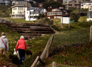 Diet and exercise strategies that may lower your ‘biological age’ Diet and exercise strategies that may lower your 'biological age'