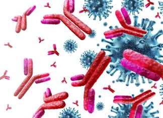 Scientists reveal key changes over a lifetime Resource: Integrating single-cell RNA and T cell/B cell receptor sequencing with mass cytometry reveals dynamic trajectories of human peripheral immune cells from birth to old age. Image Credit: Lightspring / Shutterstock