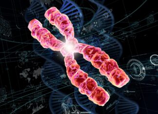 The Hidden DNA Clue That Predicts Stroke, Dementia, and Brain Aging The Hidden DNA Clue That Predicts Stroke, Dementia, and Brain Aging