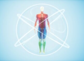 Transforming Longevity Research: AI Paves the Way for Personalized Anti-Aging Treatments Transforming Longevity Research: AI Paves the Way for Personalized Anti-Aging Treatments