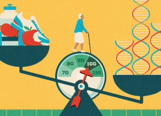 What Matters More for Longevity: Genes or Lifestyle? What Matters More for Longevity: Genes or Lifestyle?