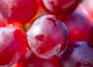 The Best Anti-Aging Foods For Your Skin The Best Anti-Aging Foods For Your Skin