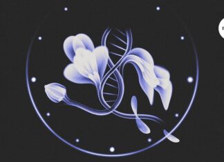 How quickly are you ageing? What molecular ‘clocks’ can tell you about your health How quickly are you ageing? What molecular ‘clocks’ can tell you about your health