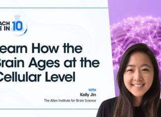 Learn How the Brain Ages at the Cellular Level Learn How the Brain Ages at the Cellular Level