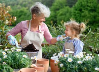 What was the Aging Mastery Program®? What was the Aging Mastery Program®?